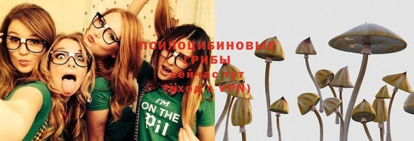 герыч Лиски