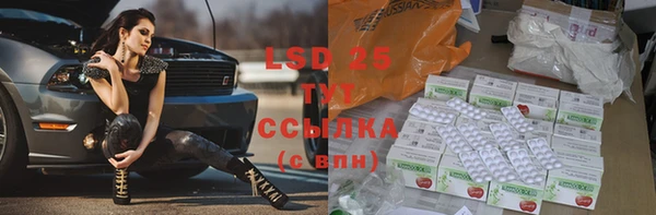 ГАЛЛЮЦИНОГЕННЫЕ ГРИБЫ Лихославль