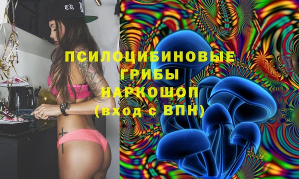 герыч Лиски