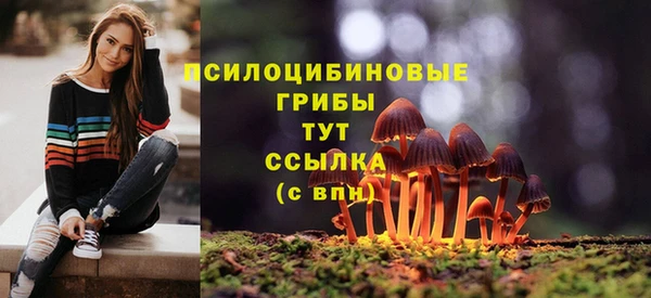 каннабис Дегтярск