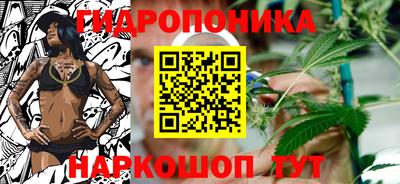 трава Кингисепп
