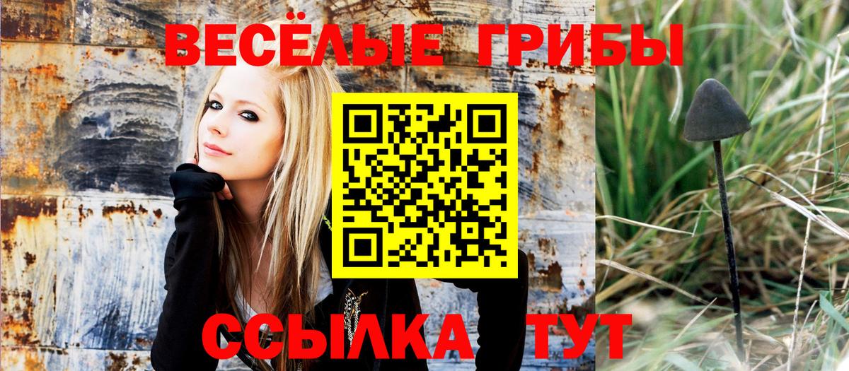 Псилоцибиновые грибы прущие грибы Острогожск