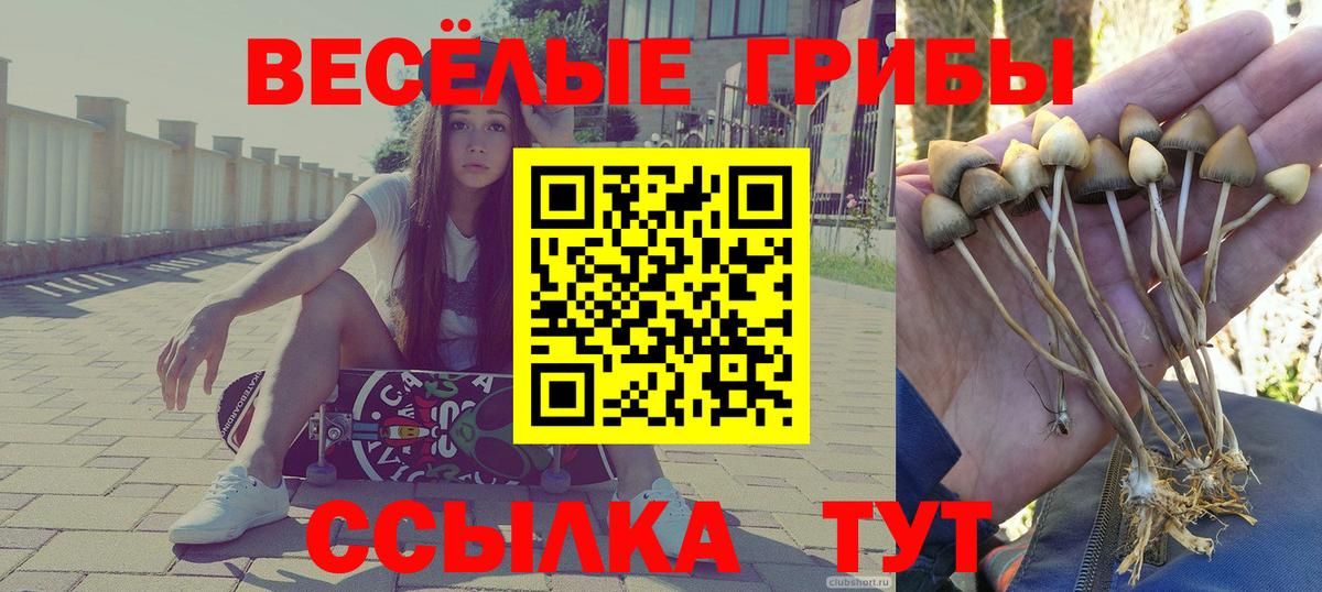 цена наркотик  Вход с VPN  Галлюциногенные грибы Magic Shrooms  Острогожск  Псилоцибиновые грибы Magic Shrooms 