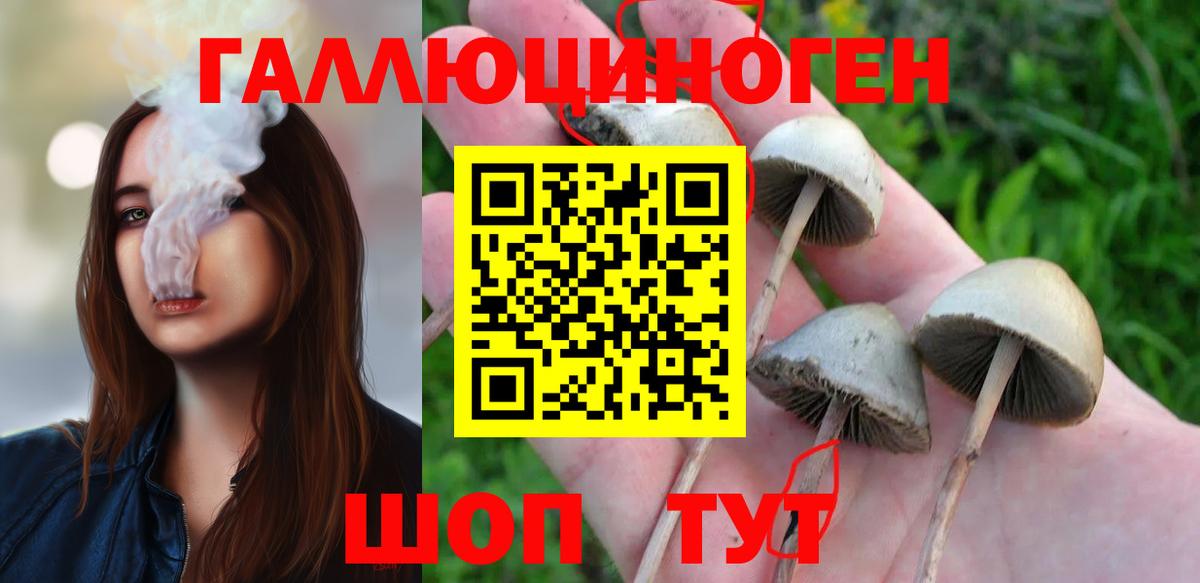 Галлюциногенные грибы Psilocybe  Псилоцибиновые грибы Cubensis  Острогожск 